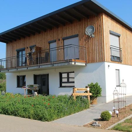 Ferienwohnungen "Blumenwiese" Dillingen an der Donau Exteriér fotografie