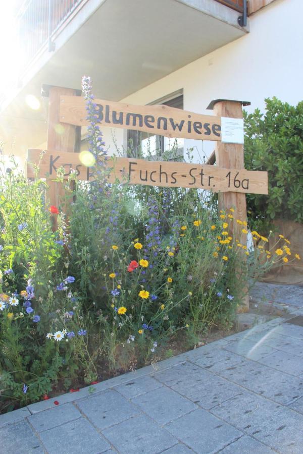 Ferienwohnungen "Blumenwiese" Dillingen an der Donau Exteriér fotografie